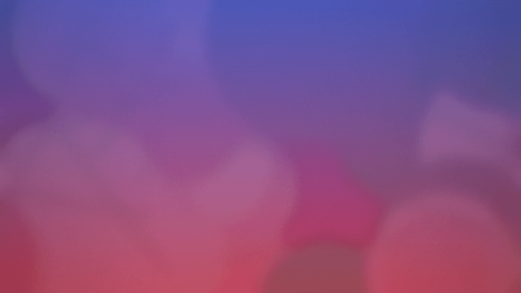 성인 모드는 토글이 아니다