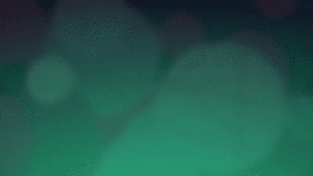 적대적 예제와 NIDS 강건성