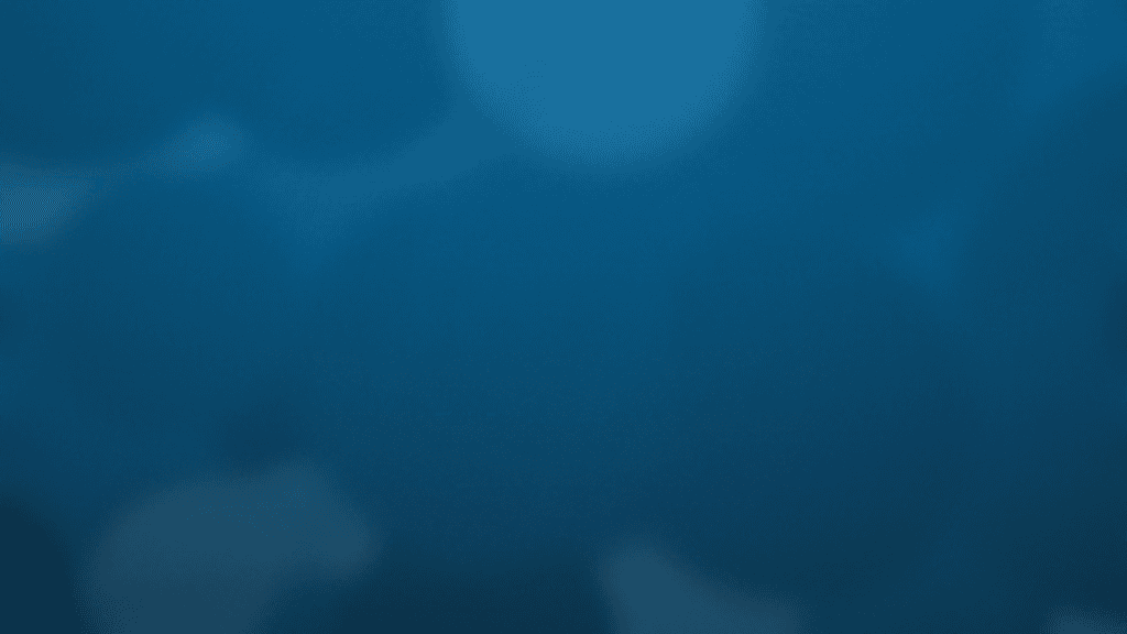 Risks of AI Integration in Weapon Decision Cycles