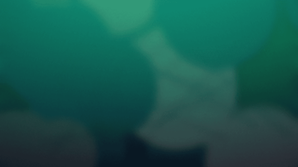 Managing Release Loops in Continual LLM Evolution